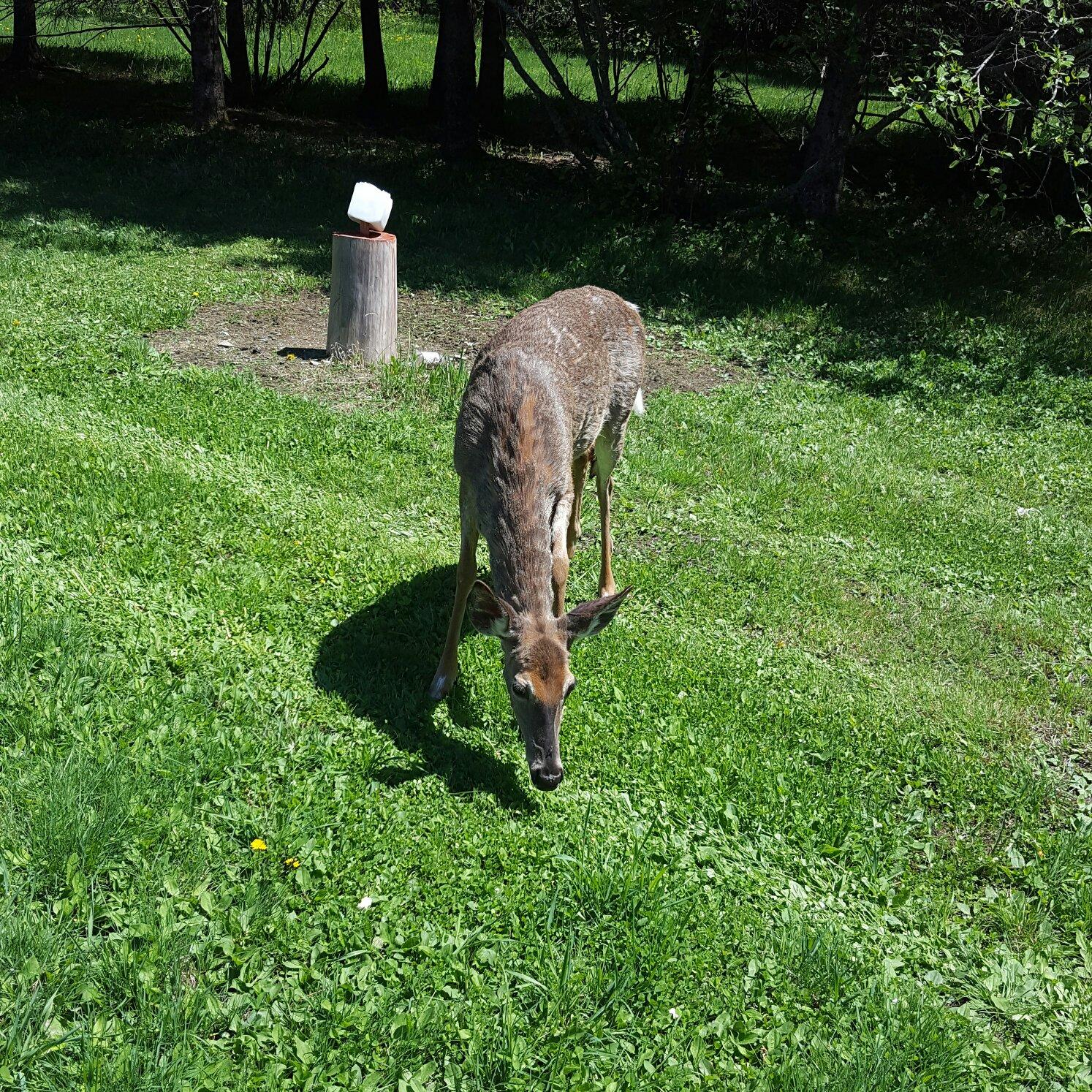 places to visit in canada